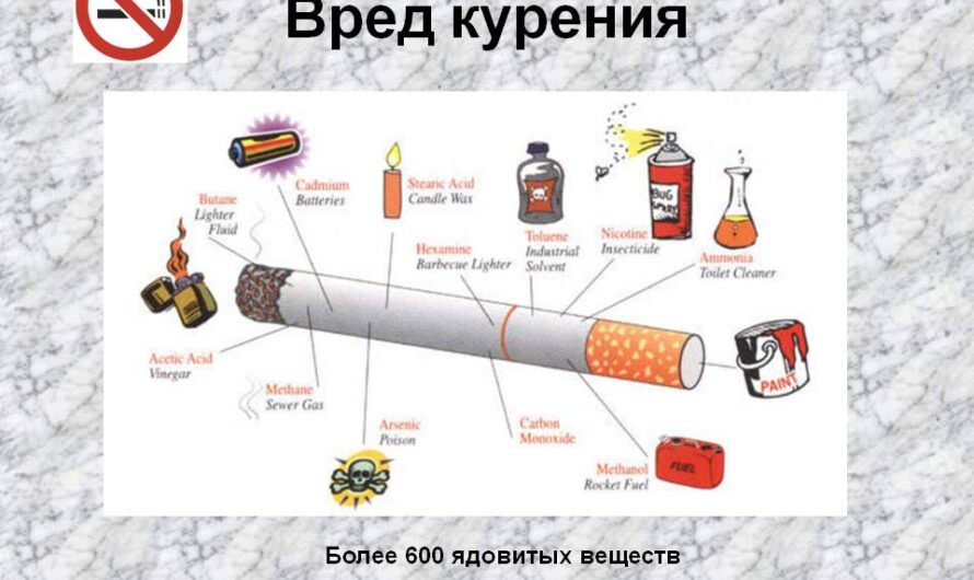 Вред курения для школьников!